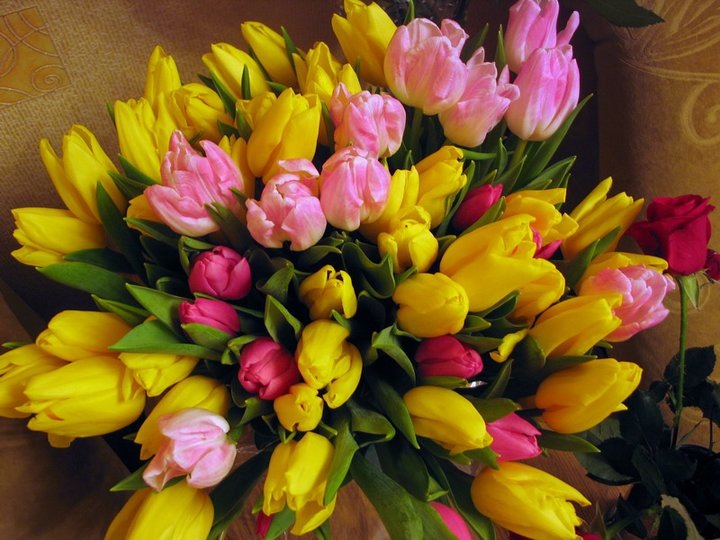 Лейла Багирова фотография #42