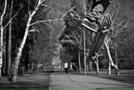 Фотография Донского Дмитрия