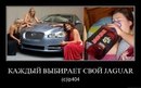 Фотография Черствова Сергея