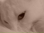 Фотография Зерюковой Анны