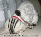 Віталік Ступінський фотография #26 (источник - https://vk.com/id51987355)