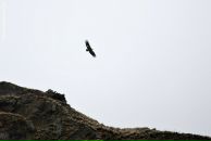 Фотография Савина Виталия