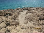 Фотография Истоминской Екатерины