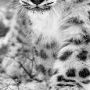 Ігор Шутурма фотография #23 (источник - https://vk.com/id122805674)