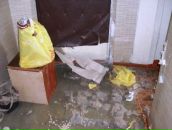 Фотография Fox Tatiana