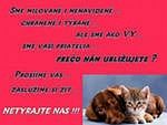 Анастасия ♥♥♥ фотография #18 (источник - https://vk.com/id144506248)