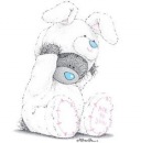 Фотография Коростелёв Евгений