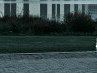 Микола Фенікс фотография #43 (источник - https://vk.com/id52882336)