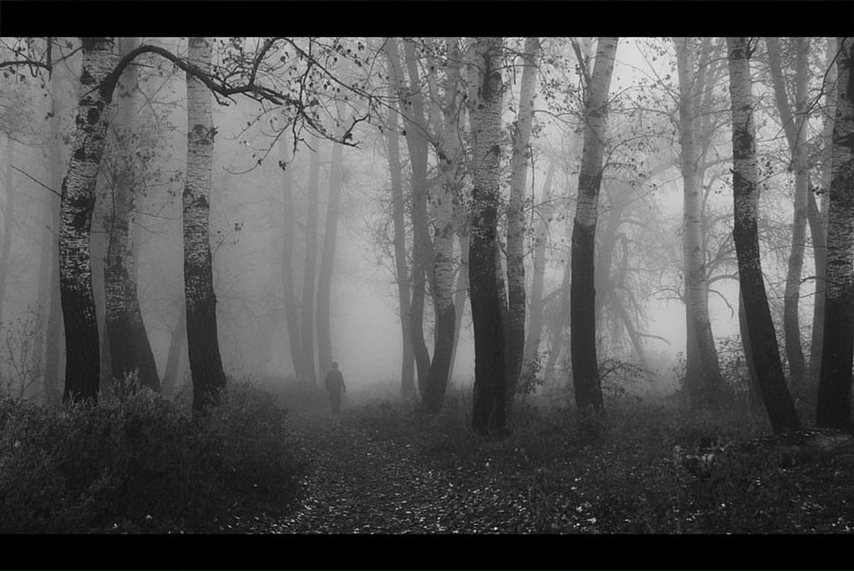 Саша Тарасенко фотография #35