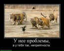 Умар Яндиев фотография #25 (источник - https://vk.com/id384245)