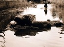 Selim Yüksel фотография #8 (источник - https://vk.com/id159703024)