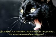 Ольга Бондурівська фотография #20 (источник - https://vk.com/id153508025)