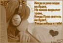 Інуся Швець фотография #20 (источник - https://vk.com/id156545386)