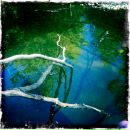 Сергій Василик фотография #42 (источник - https://vk.com/id7498259)