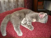 Наталька Гурьева фотография #49 (источник - https://vk.com/id366451)