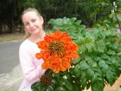 Фотография Казаковой Елены