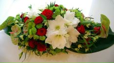 Діанка Шипенко фотография #20 (источник - https://vk.com/id170205020)