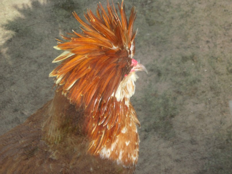 Наталья Гринёва фотография #13