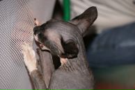 Фотография Александровой Анны