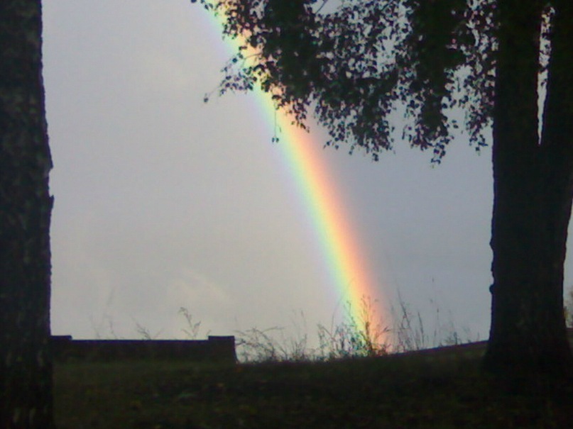 Виктор Тютин фотография #33