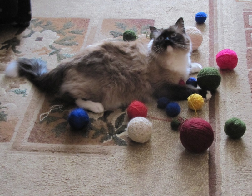 Данечка Силина фотография #34