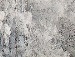 Юлія Бринь фотография #15 (источник - https://vk.com/id142221472)