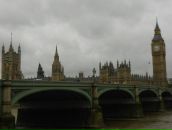 Фотография Гермер Анны