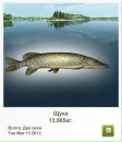 Ingutia Kieraite фотография #22 (источник - https://vk.com/id37570152)