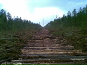 Рамиль Биккулов фотография #8 (источник - https://vk.com/id8884371)