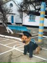 Віталік Гнатишин фотография #46 (источник - https://vk.com/id102594992)