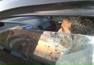 Selçuk Pugar фотография #1