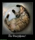 Фотография Касниковской Насти