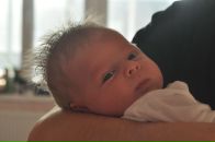 Фотография Моховиковой Олеси