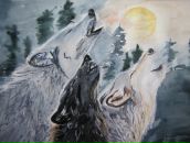 Фотография Аблязова (Цапко) Олеси