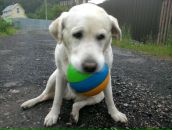 Фотография Мекишева Константина