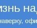Vikusik Черепій фотография #15 (источник - https://vk.com/id122483426)