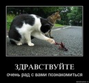 Стефан Ніколевський фотография #19 (источник - https://vk.com/id138011441)