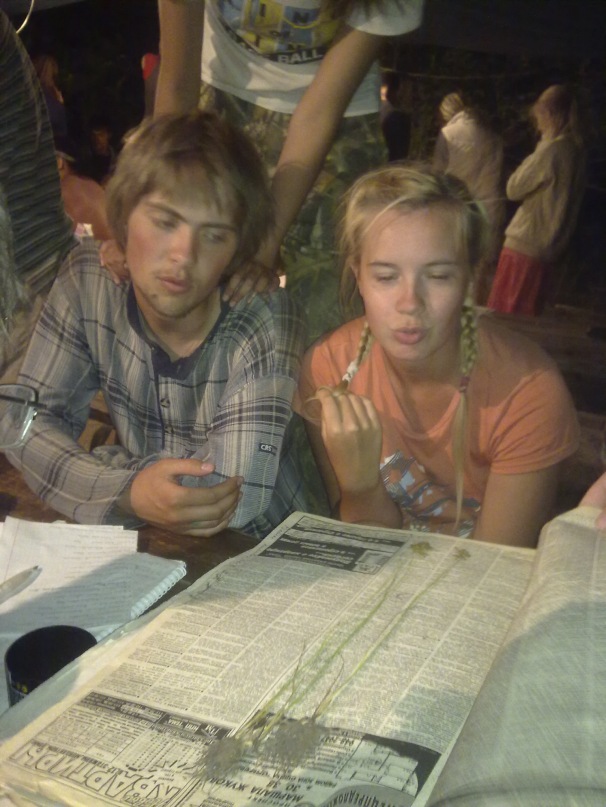 Ветер Полыни фотография #42