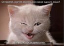 Юра Сєднєв фотография #10 (источник - https://vk.com/id165495723)