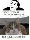 Діма Пасічний фотография #30 (источник - https://vk.com/id159224675)