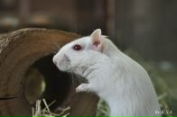 Фотография Сухина Аня