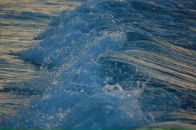 Фотография Афанасьевой Елены