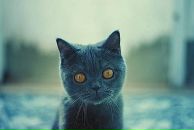 Разиля Камилевна фотография #41 (источник - https://vk.com/id62003511)