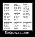 Фотография Дмитриева Елена