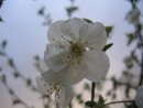 Фотография Корсаковой Татьяны