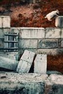 Иван Пушкин фотография #44 (источник - https://vk.com/id798232)