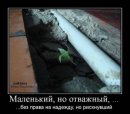 Анатолій Д фотография #47 (источник - https://vk.com/id38993689)