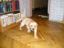 Дмитрий Емец фотография #43 (источник - https://vk.com/id358793)