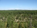 Славік Роздайбіда фотография #27 (источник - https://vk.com/id27528212)