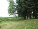 Альона Курочкіна фотография #18 (источник - https://vk.com/id47813885)